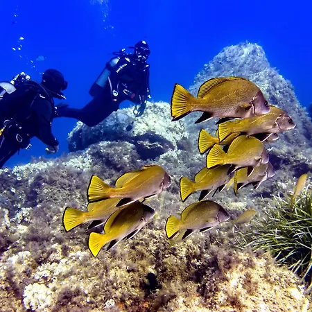 Semesterpark Village De - Le Sentier Des Pins