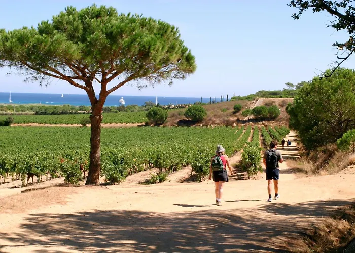 Village De - Le Sentier Des Pins Πάρκο διακοπών Ramatuelle